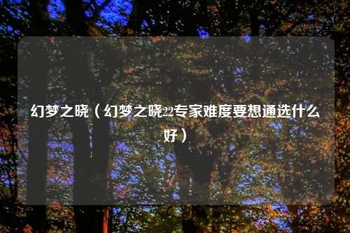 幻梦之晓（幻梦之晓22专家难度要想通选什么好）