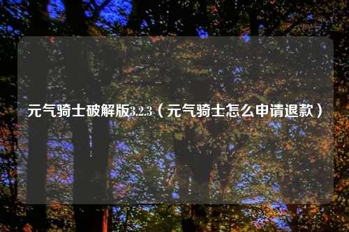 元气骑士破解版3.2.3（元气骑士怎么申请退款）