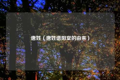 唐姓（唐姓谱阳堂的由来）