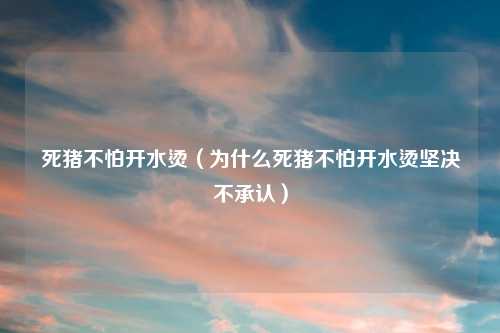 死猪不怕开水烫（为什么死猪不怕开水烫坚决不承认）