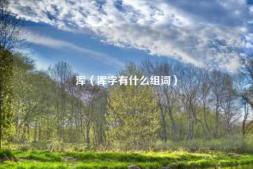 浑（浑字有什么组词）