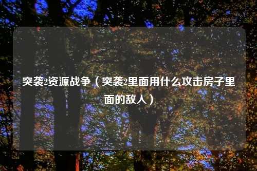 突袭2资源战争（突袭2里面用什么攻击房子里面的敌人）