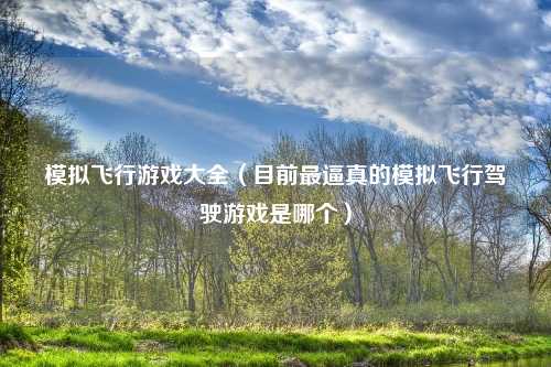 模拟飞行游戏大全（目前最逼真的模拟飞行驾驶游戏是哪个）