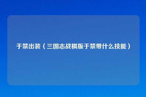 于禁出装（三国志战棋版于禁带什么技能）