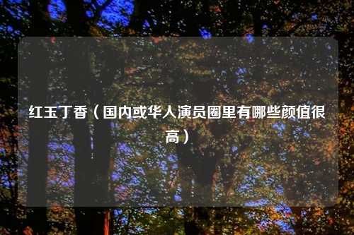 红玉丁香（国内或华人演员圈里有哪些颜值很高）