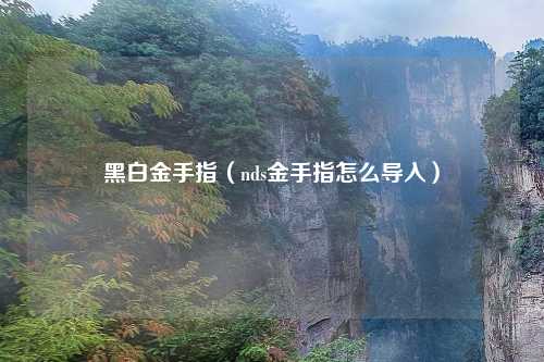 黑白金手指（nds金手指怎么导入）