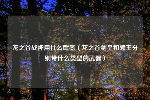 龙之谷战神用什么武器（龙之谷剑皇和领主分别带什么类型的武器）