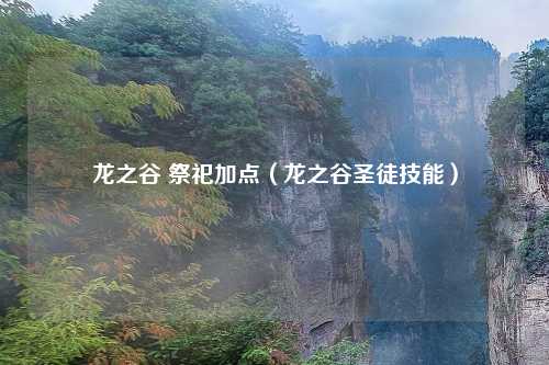 龙之谷 祭祀加点（龙之谷圣徒技能）