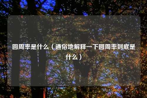 圆周率是什么（通俗地解释一下圆周率到底是什么）