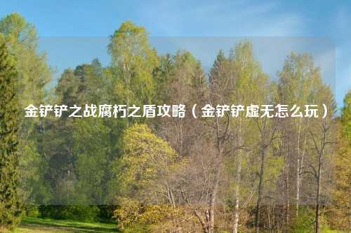 金铲铲之战腐朽之盾攻略（金铲铲虚无怎么玩）