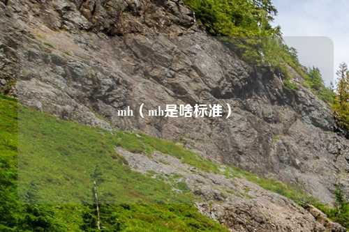 mh（mh是啥标准）