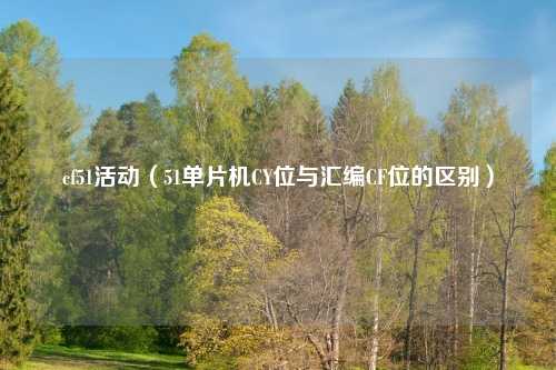 cf51活动（51单片机CY位与汇编CF位的区别）