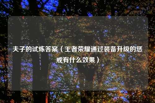 夫子的试炼答案（王者荣耀通过装备升级的惩戒有什么效果）