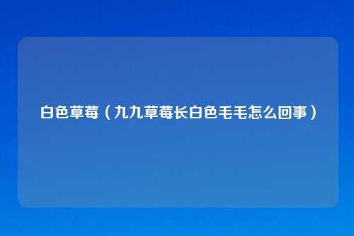 白色草莓（九九草莓长白色毛毛怎么回事）