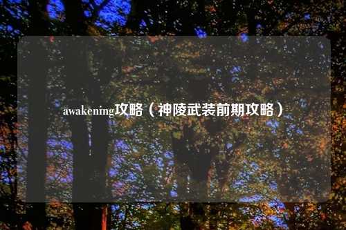 awakening攻略（神陵武装前期攻略）