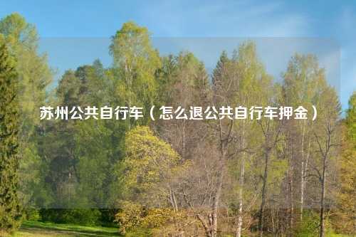苏州公共自行车（怎么退公共自行车押金）