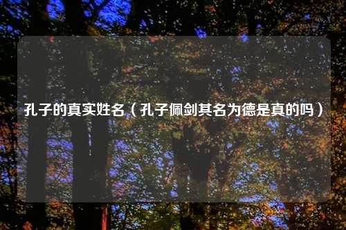 孔子的真实姓名（孔子佩剑其名为德是真的吗）