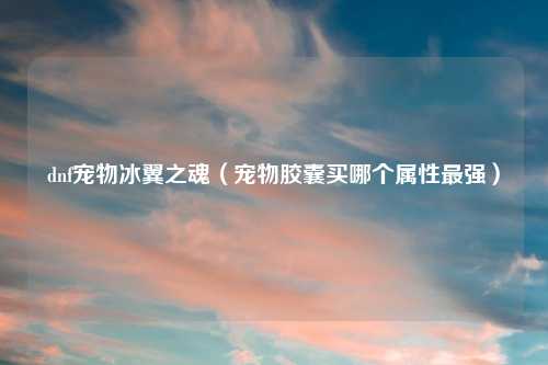 dnf宠物冰翼之魂（宠物胶囊买哪个属性最强）