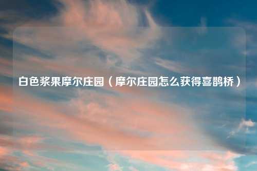 白色浆果摩尔庄园（摩尔庄园怎么获得喜鹊桥）