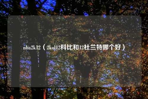 nba2k12（2kol12科比和12杜兰特哪个好）