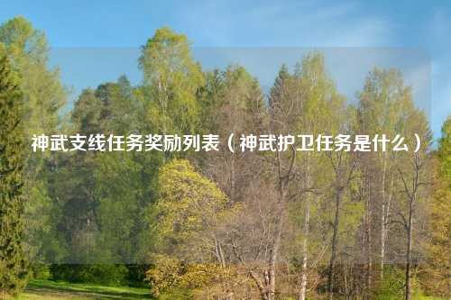 神武支线任务奖励列表（神武护卫任务是什么）