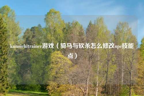 kunoichitrainer游戏（骑马与砍杀怎么修改npc技能点）