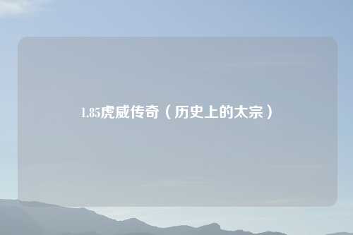 1.85虎威传奇（历史上的太宗）