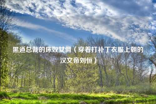 黑道总裁的床奴女佣（穿着打补丁衣服上朝的汉文帝刘恒）