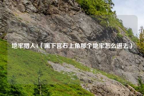 地牢猎人4（渊下宫右上角那个地牢怎么进去）