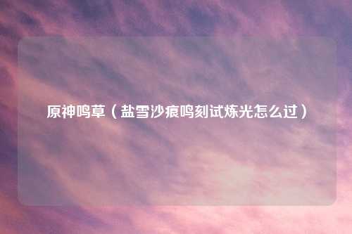 原神鸣草（盐雪沙痕鸣刻试炼光怎么过）