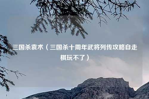 三国杀袁术（三国杀十周年武将列传攻略自走棋玩不了）