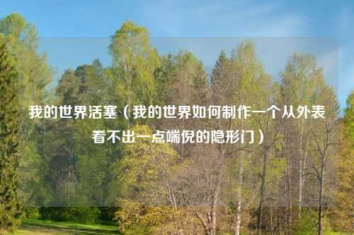 我的世界活塞（我的世界如何制作一个从外表看不出一点端倪的隐形门）