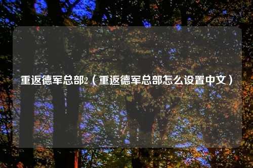 重返德军总部2（重返德军总部怎么设置中文）