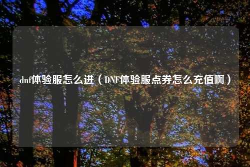 dnf体验服怎么进（DNF体验服点券怎么充值啊）