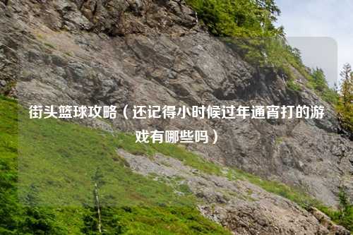 街头篮球攻略（还记得小时候过年通宵打的游戏有哪些吗）