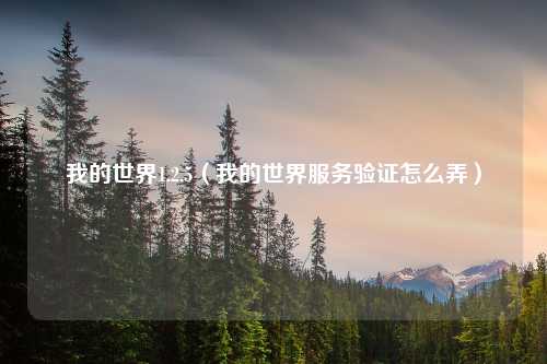 我的世界1.2.5（我的世界服务验证怎么弄）