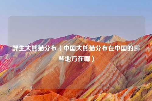 野生大熊猫分布（中国大熊猫分布在中国的哪些地方在哪）