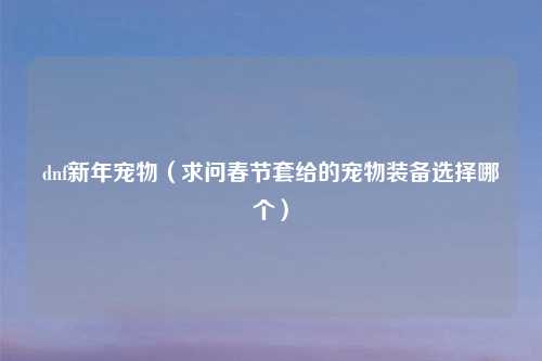 dnf新年宠物（求问春节套给的宠物装备选择哪个）