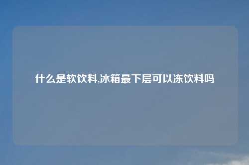 什么是软饮料,冰箱最下层可以冻饮料吗