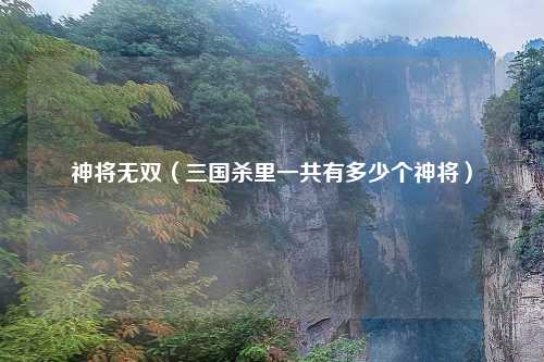 神将无双（三国杀里一共有多少个神将）