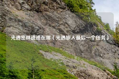 光遇密林遗迹在哪（光遇旅人最后一个任务）