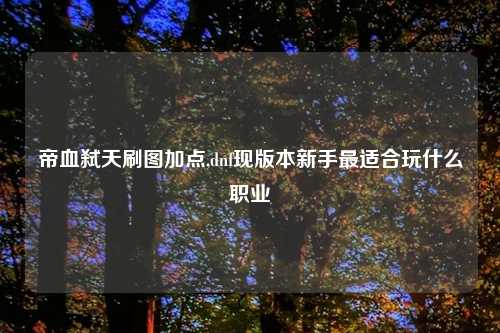 帝血弑天刷图加点,dnf现版本新手最适合玩什么职业
