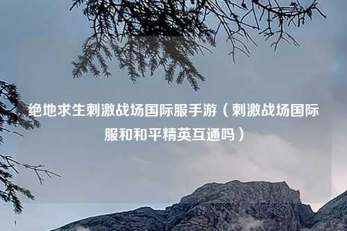 绝地求生刺激战场国际服手游（刺激战场国际服和和平精英互通吗）