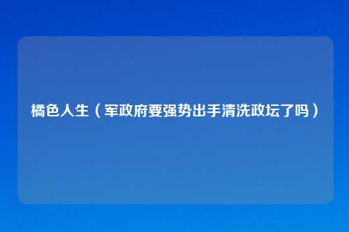 橘色人生（军政府要强势出手清洗政坛了吗）