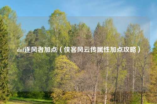 dnf逐风者加点（侠客风云传属性加点攻略）