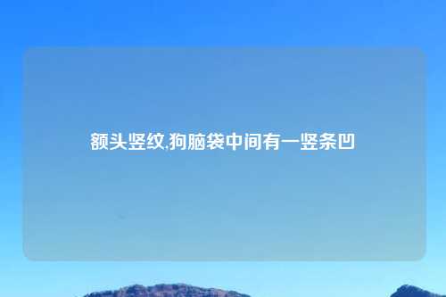 额头竖纹,狗脑袋中间有一竖条凹