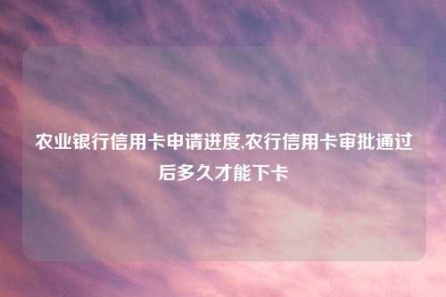 农业银行信用卡申请进度,农行信用卡审批通过后多久才能下卡