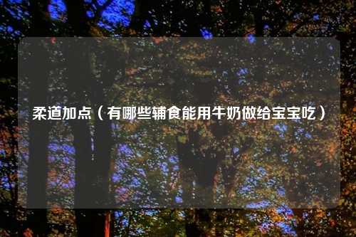 柔道加点（有哪些辅食能用牛奶做给宝宝吃）