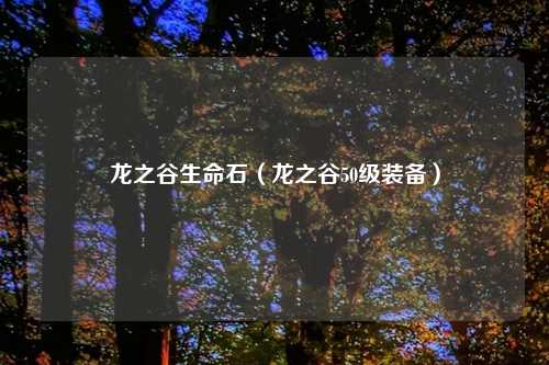 龙之谷生命石（龙之谷50级装备）