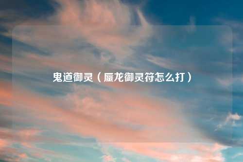鬼道御灵（蜃龙御灵符怎么打）